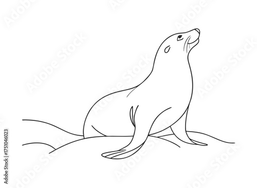 Black outline drawing of a sea lion in an alert, upward-gazing pose, showcasing its sleek form.