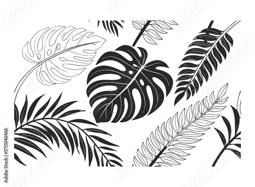 Black and white hand-drawn tropical leaves, Monstera, palm, fern, exotic foliage