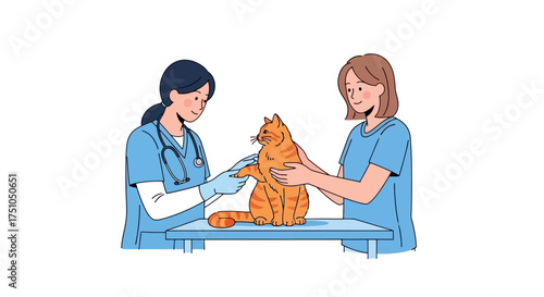Veterinarian examining a ginger cat on a table with the owner present in a clinic setting.