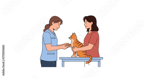 Veterinarian examining a cat with its owner present on a table.