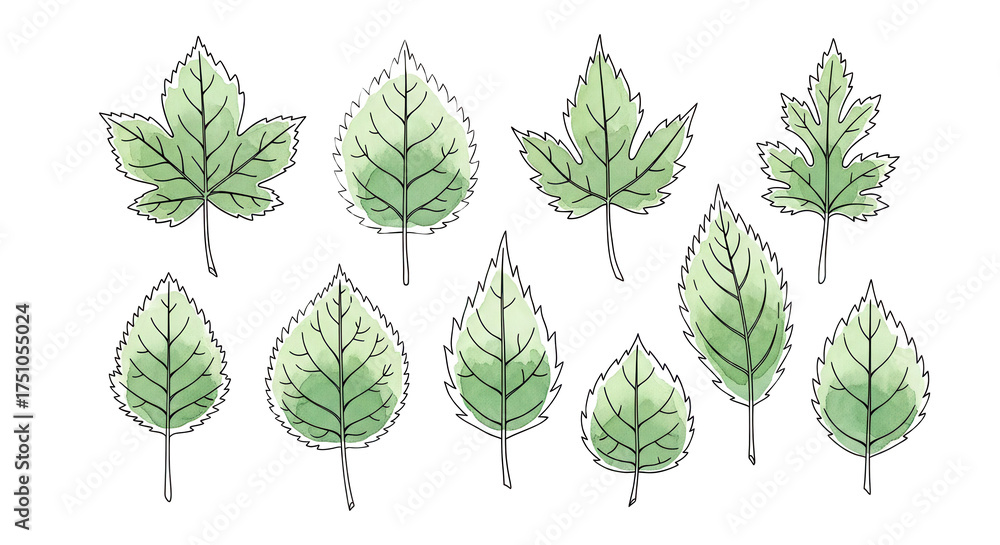 Fototapeta premium Assortment of vibrant green watercolor leaves, hand-sketched with subtle textures, depicting diverse botanical forms for nature-inspired design elements