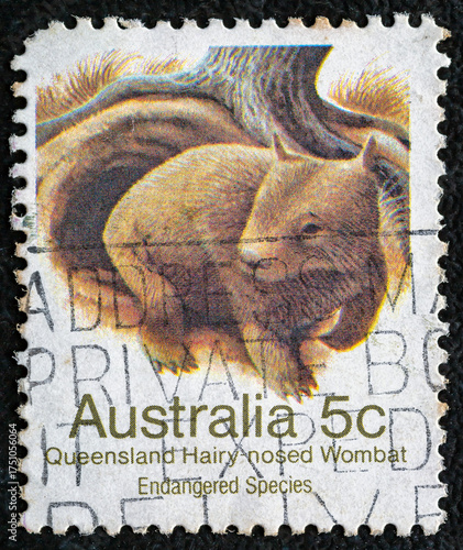 AUSTRALIA-CIRCA 1991:A stamp printed in Australia shows image of a Queensland hairy nosed wombat, series, circa 1991.Philately.World stamp collection.