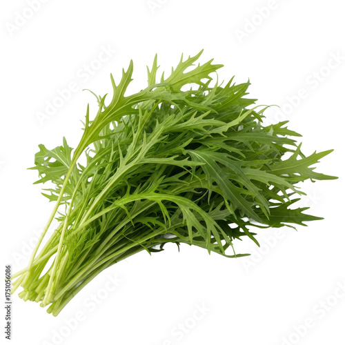 A fresh bundle of vibrant green mizuna greens, artfully arranged on a clean white background, highlighting their delicate, feathery leaves