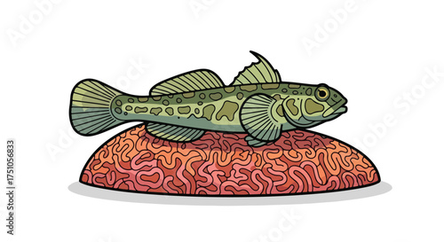 Goby fish resting atop colorful coral illustration showcases the beauty and diversity marine ecosystem art depicting nature in a stylized manner
