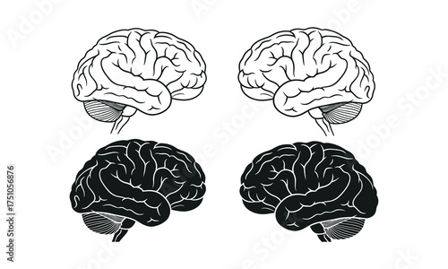 Abstract human brain sketches showing left and right hemispheres in black and white line art styles