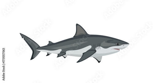 Illustration of a sleek grey shark swimming, isolated against a bright white background, vector art style depicts marine life with a modern aesthetic