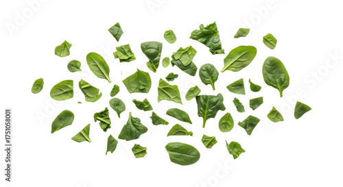 Freshly chopped spinach leaves scattered on a white background, perfect for healthy cooking and salads
