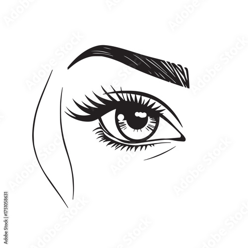 Vector art of close up of a woman eye with long lashes illustration.