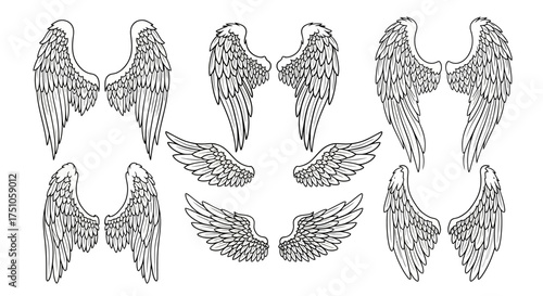 Collection of six pairs of detailed angel wings line art.