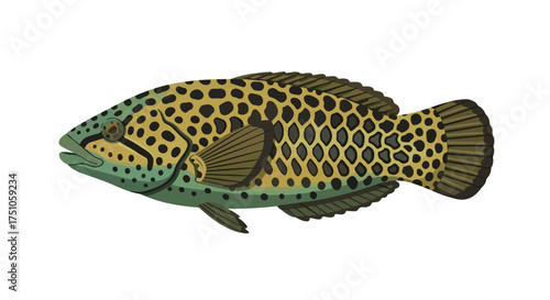 Illustration of a leopard grouper, showcasing its unique spotted pattern and distinctive coloration, capturing its essence through artistic