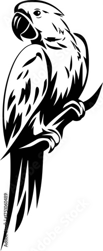 Striking Black and White Parrot Vector Illustration for Tropical Design