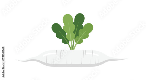Artistic depiction of a white radish with fresh green leaves conveying simple harvest design isolated against bright background offering vegetarian