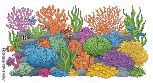 Vibrant Underwater Ecosystem: A Colorful Depiction of Coral Reef Life with Diverse Marine Creatures and Corals in Varied Hues