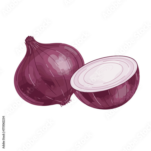 Red Onion Whole and Halved – Realistic Culinary Vegetable Illustration