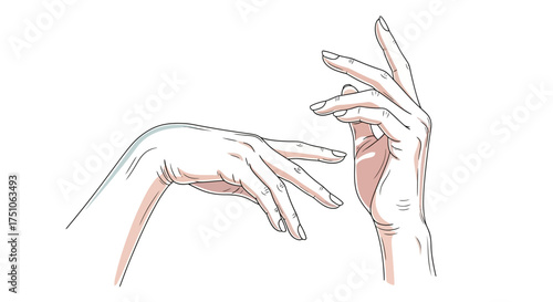 Elegant vector illustration of two hands with graceful gestures, white background