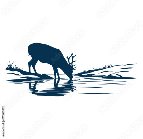 Silhouette of a majestic deer drinking water from a calm lake at daytime
