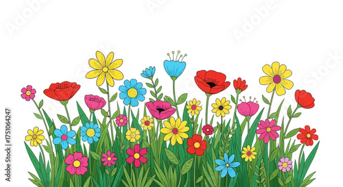 A cheerful vector illustration of a colorful flower meadow on a white background, white background