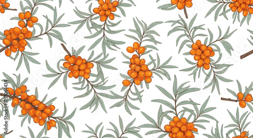 Seamless vector illustration of sea buckthorn branches with berries and leaves, white background