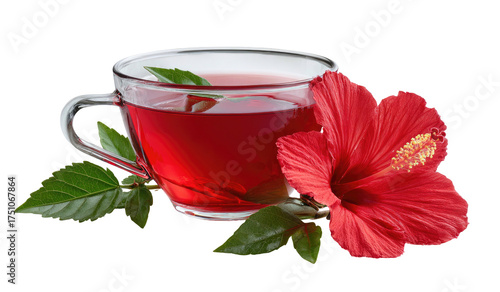 A translucent glass cup of red herbal tea beside a vibrant, crimson hibiscus flower