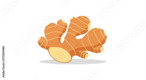 Artistic representation of ginger root with textured lines and vibrant brown, yellow, and white colors providing a visually engaging composition