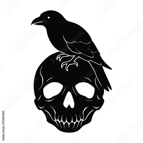 A raven perched on a human skull with cracks and shadows silhouette illustration