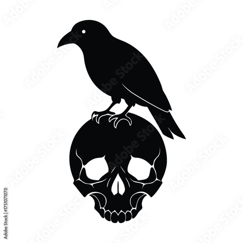 A raven perched on a human skull with cracks and shadows silhouette illustration