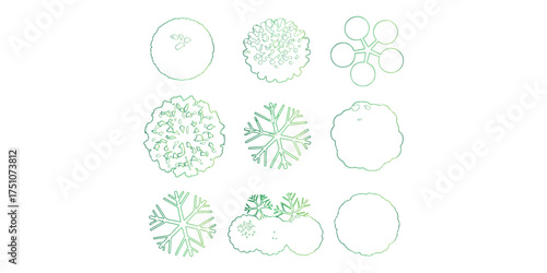 Tree Canopy and Foliage: Illustrating Top View of Various Tree Shapes and Structures