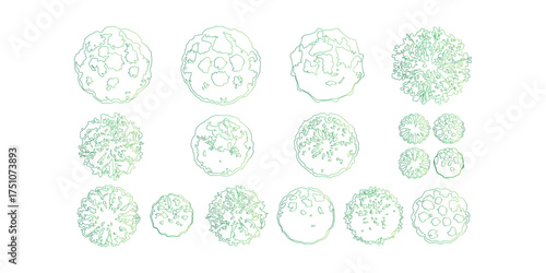 Detailed Green Tree Top View Vector Illustration for Landscape Design and Architectural Plans