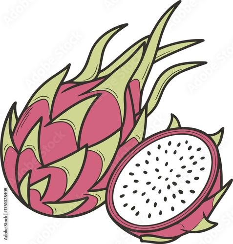 Dragon Fruit Illustration – Hand Drawn Tropical Pitaya Vector Art