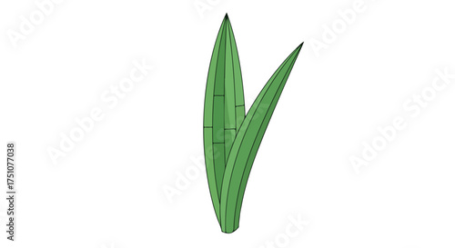 Illustrative botanical study showcasing a vibrant green leaf structure against pristine backdrop, emphasizing botanical harmony