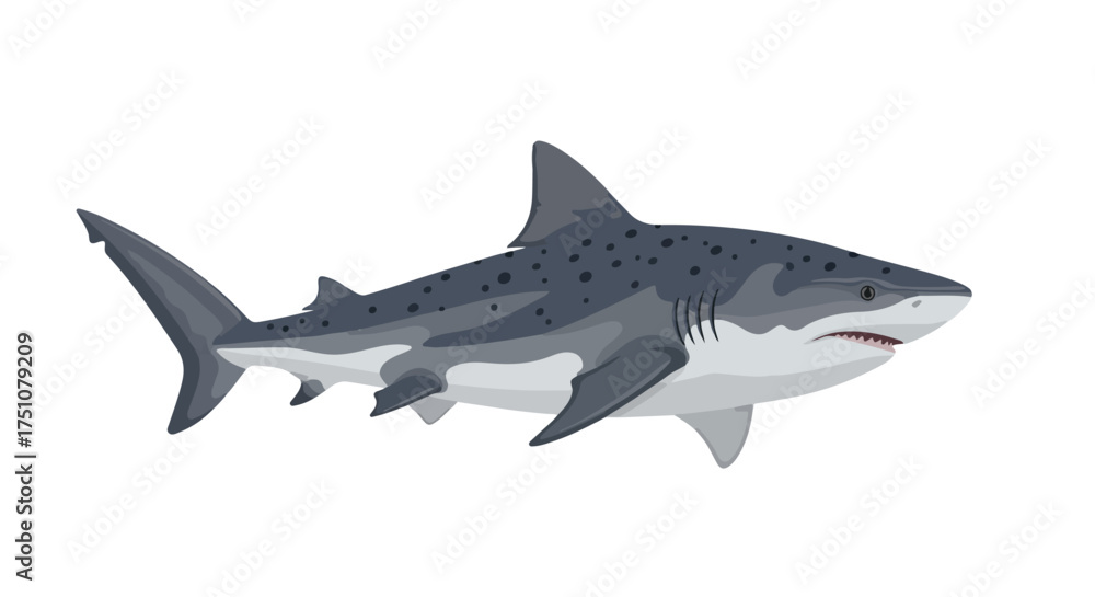 Obraz premium Stylized Illustration of a Spotted Shark Isolated on White Background, Portraying Marine Wildlife and Underwater Theme of Oceanic Predators with a