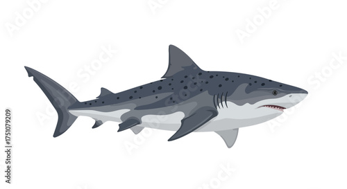 Stylized Illustration of a Spotted Shark Isolated on White Background, Portraying Marine Wildlife and Underwater Theme of Oceanic Predators with a