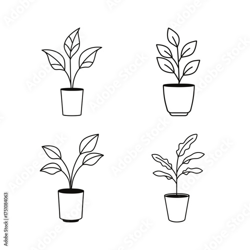 Four potted plants in outline illustration on transparent background