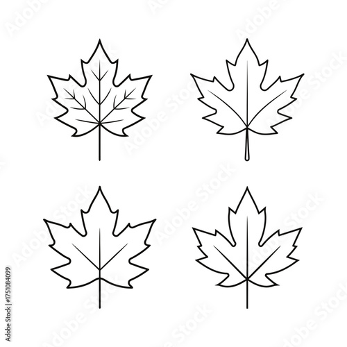 Four maple leaves in black and white outline on transparent background