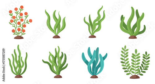 Underwater plant life: A stylized compilation of colorful aquatic vegetation set against a pristine backdrop providing versatile design assets