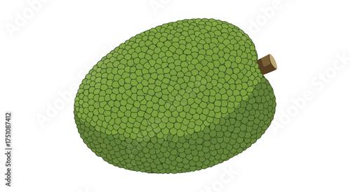 Detailed green jackfruit illustration showcasing its unique bumpy skin and attached stem on a plain background