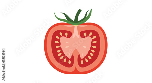 Artistic depiction of a tomato cross-section with vibrant colors and a clean, minimal style isolated in white background