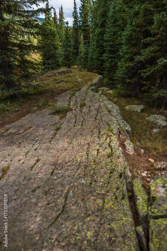 natural rock terrace in evergreen forest