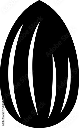 almond shelled on transparent background for web and graphic design
