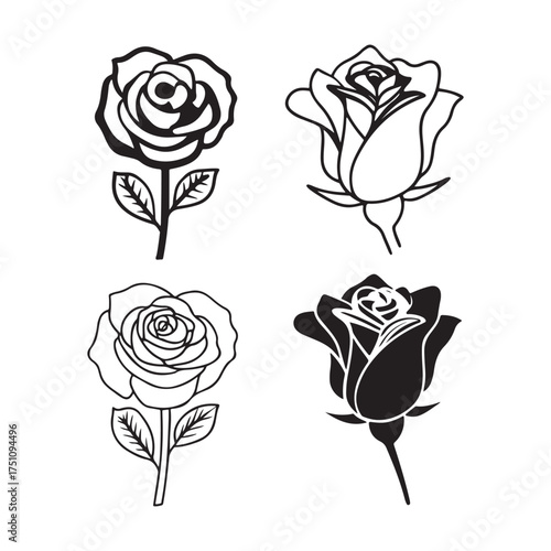 Elegant Rose Line Art Collection