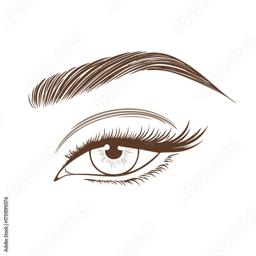 Elegant Female Eye and Eyebrow with Long Eyelashes