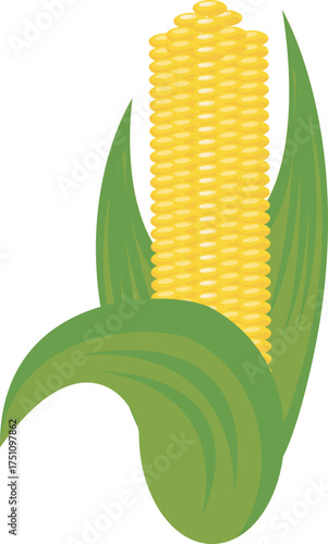 vector illustration of corn