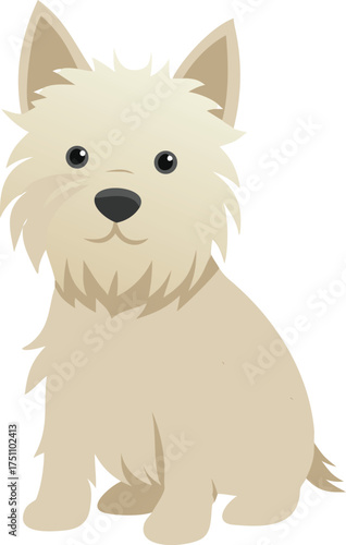 Small Fluffy White West Highland Terrier Dog Sitting with Perky Ears westie canine