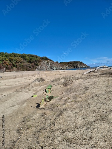 Sinemorets_Bulgaria, Butamyata beach, sunny day on wild coast of the Black Sea.