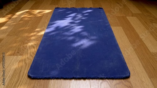 Blue rectangular mat on wooden floor with shadows in sunlight.