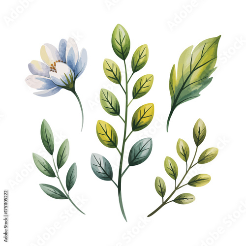 Watercolor botanical illustration of delicate leaves and a single flower