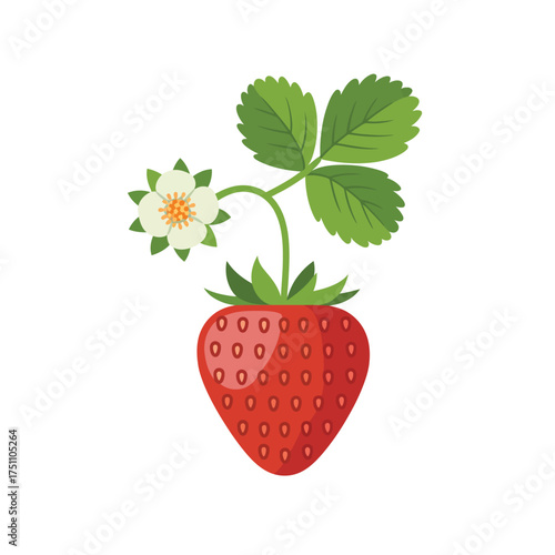 Ripe strawberry with flower and leaves on white background