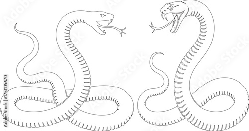 Two stylized cobras facing each other in a detailed outline drawing.