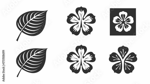 Illustration of two leaves with veins and three five petaled flowers in black and white color scheme design | editable eps vectors silhouette