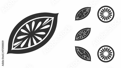 Illustration of stylized lemon and lime slices in black and white minimalist design with radial segments | editable eps vectors silhouette